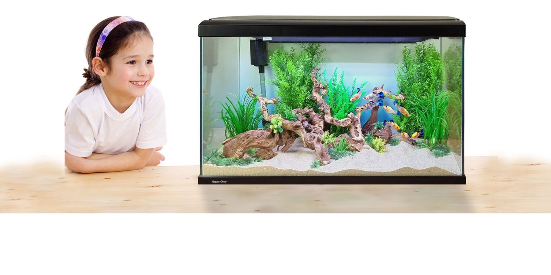 Aqua one fish tank pets at home clearance