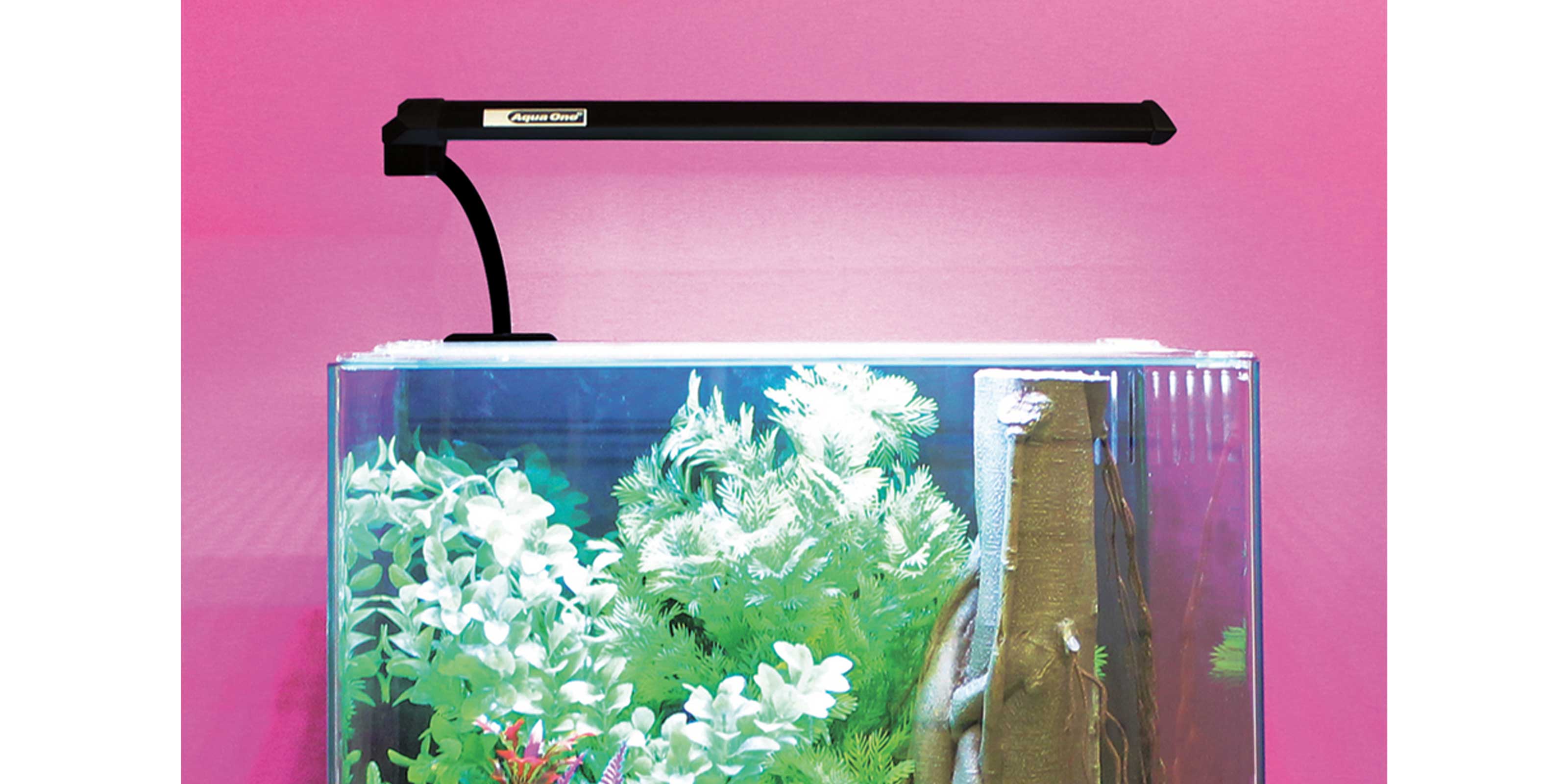 Aquanano 40 shop