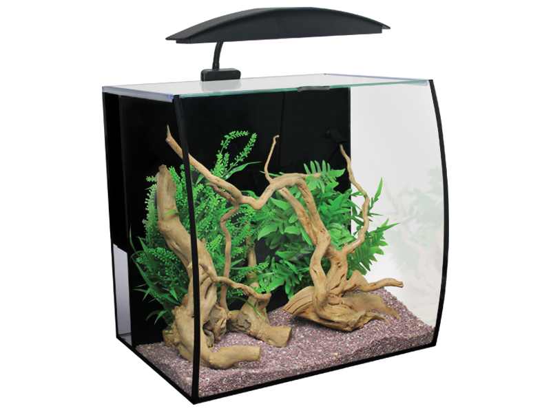 Aqua one fish online tank pets at home